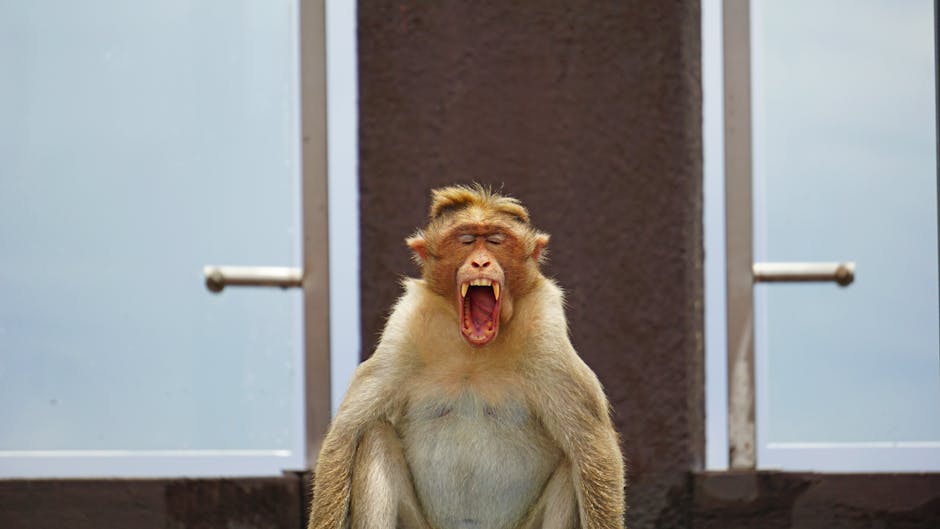 🌶️ كيف تزيد من جاذبيتك بطريقة غير متوقعة؟ التصرفات التي لا تعترف بها! 🔥