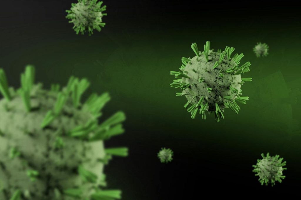What Is Hantavirus and Can It Spread?