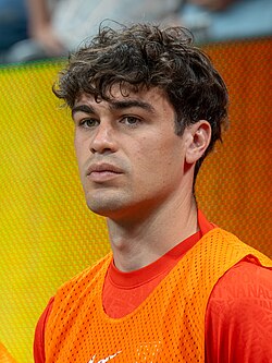 Facts about Giovanni Reyna’s Career 🏆